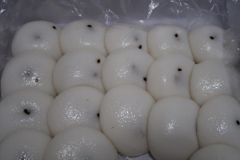 전통발효쌀떡 