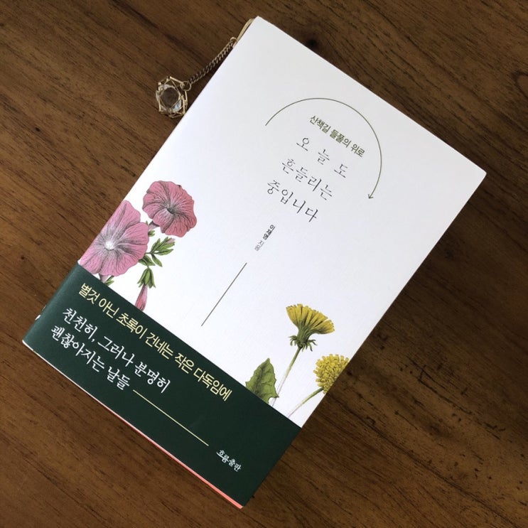  나를 위로하는 에세이 :: 오늘도 흔들리는 중입니다 - 흐름출판