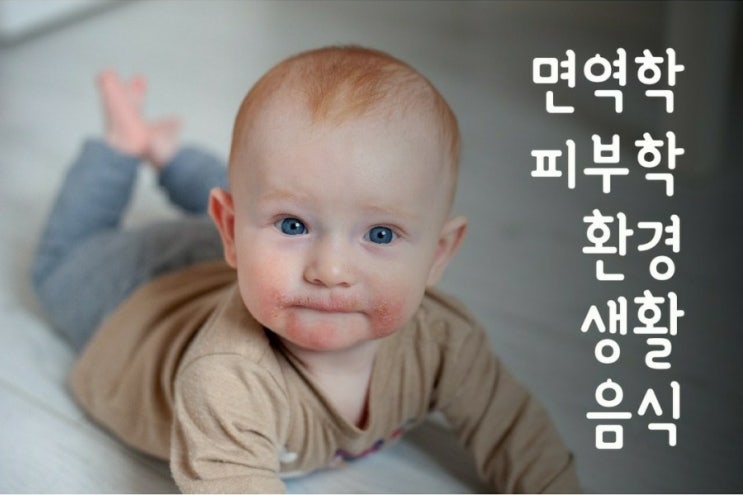  세계아토피협회 아토피상담사자격증 / 대전 스윗알리썸 클래스