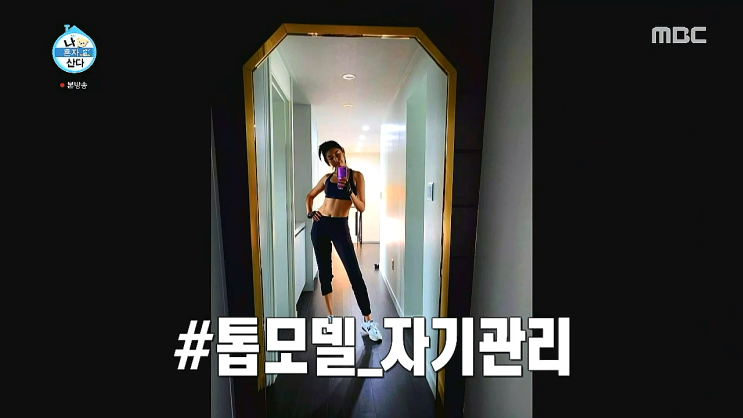한혜진 집 - 청담대우유로카운티 (청담동) 한혜진 집 - 청담대우유로카운티 (청담동)