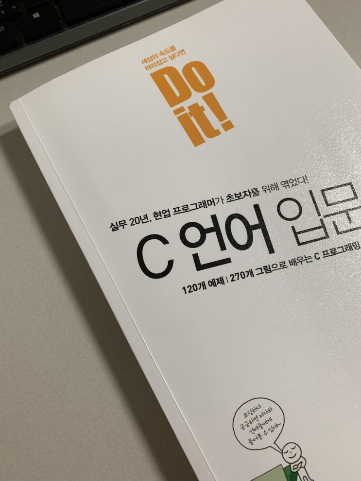  Do it! C언어 입문 리뷰