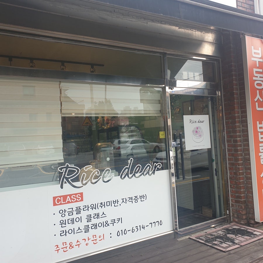 라이스디어 사진 4