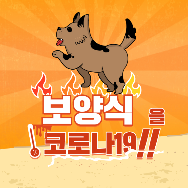  신규 확진 166명의 중심에 경기 양평군 “복달임” 개고기 파티? 양평 맘 카페 들썩!