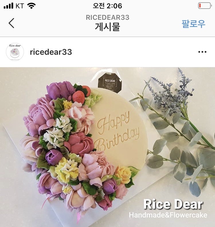라이스디어 사진 2