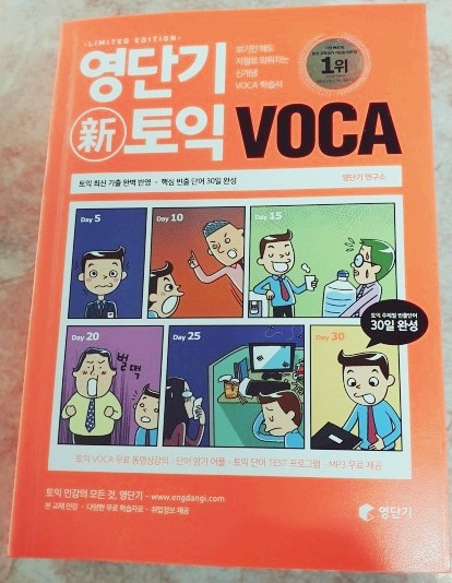 [처분] 영단기 - 영단기 신토익 VOCA