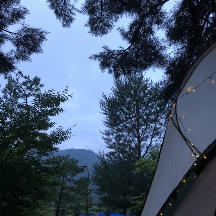  여름 캠핑, 강원도 캠핑] 보물섬 캠핑장