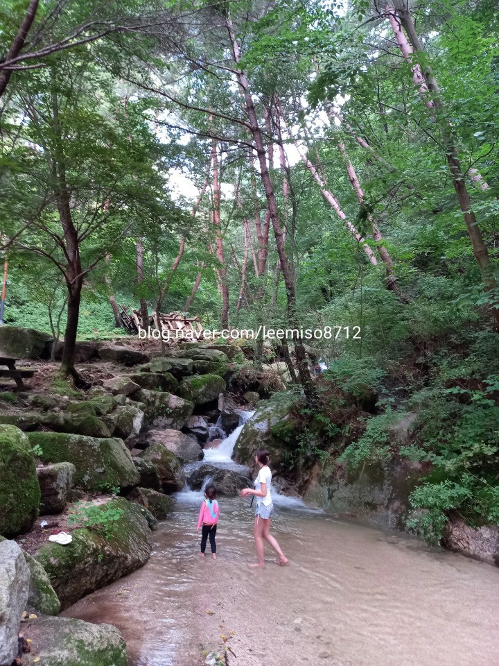  거창여행, 숲속힐링 '금원산자연휴양림'