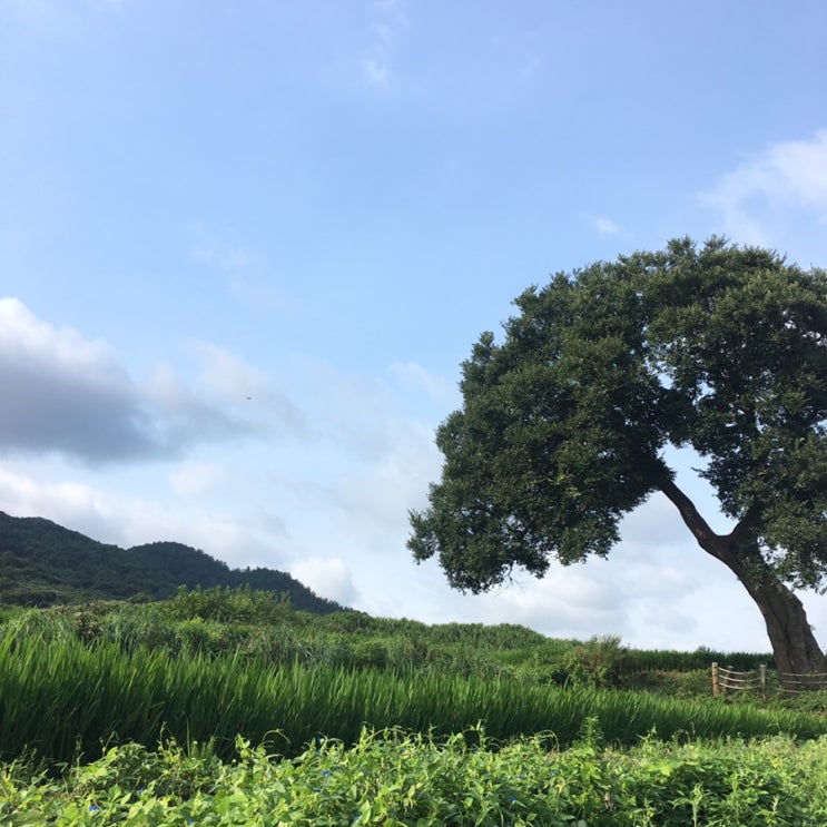  D+12 별의별 이주 영광/ 마지막날, 이동점빵