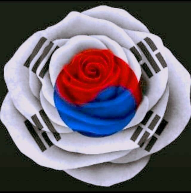  어떤 아줌마의 디지털 노마드 블로그 입문