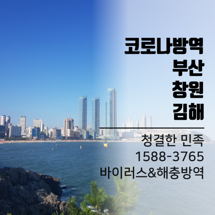  부산기계공고 코로나 감염 누적 8명, 8월16일 코로나 신규 확진 279명중 지역감염 265명