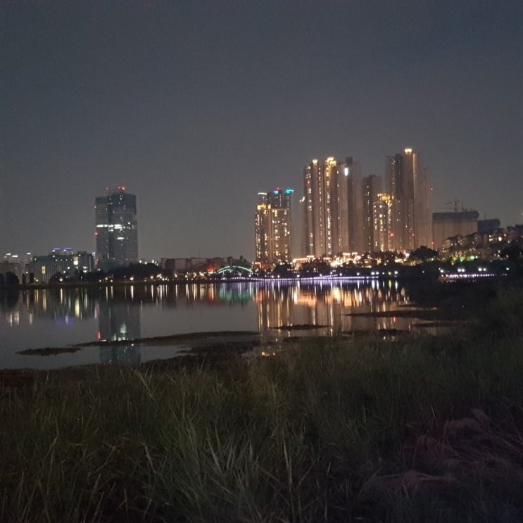 8·4 대책 이후 내 집 마련 전략, 3기 신도시와 재개발지역 중심으로 짜라 8·4 대책 이후 내 집 마련 전략, 3기 신도시와 재개발지역 중심으로 짜라