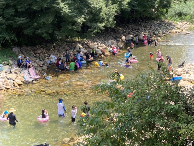  양산 가볼만한곳 (원동포시즌펜션)