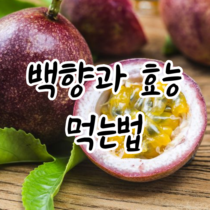  백향과 효능 ,먹는법, 새콤달콤 패션후르츠 청 만들기