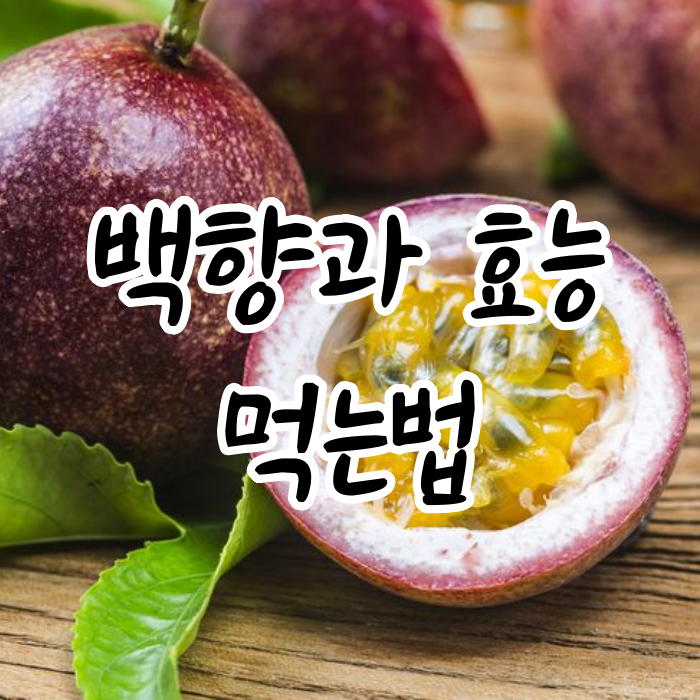 백향과 효능 ,먹는법, 새콤달콤 패션후르츠 청 만들기