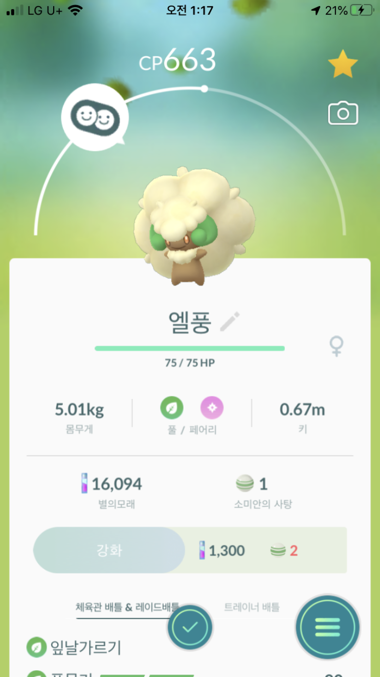  소미안 진화 “엘풍”