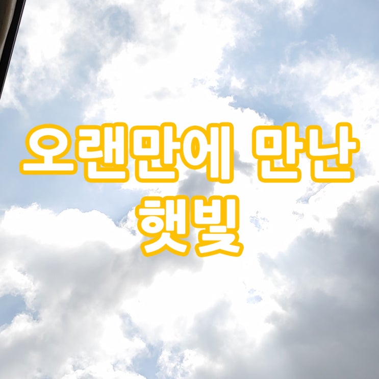  오랜만에 만난 햇빛이네요.