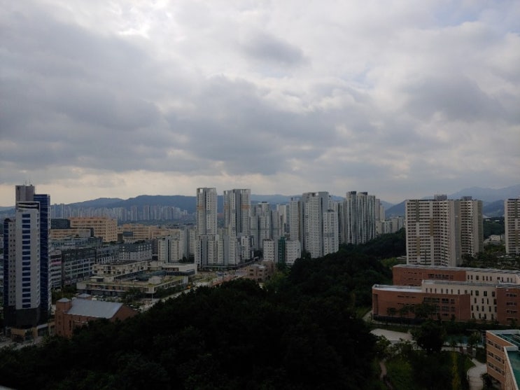  이삿날 단상....