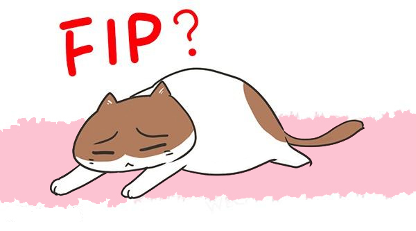  FIP : 악마의 노크(상)