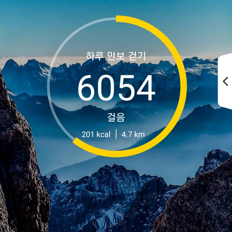  건강프로젝트] 78일차 6000보 이상 걷기 성공