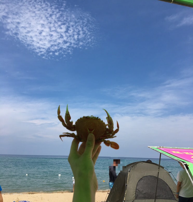  강릉 캠핑 :) 노지 캠핑하기 좋은옥계해수욕장 (애견동반가능 바다 캠핑)