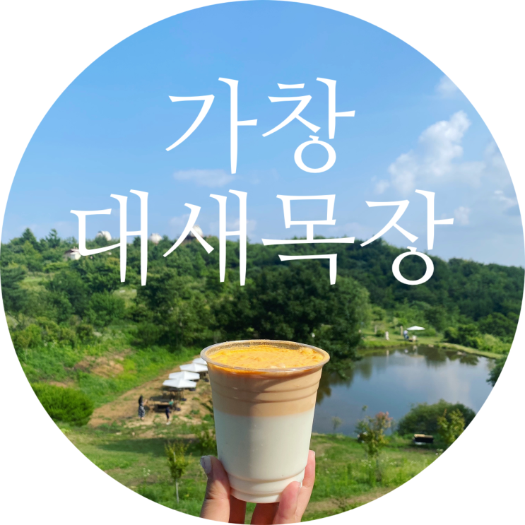  대구 근교 카페 가창 대새목장 내돈내산 솔직후기