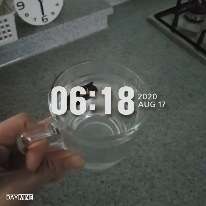  힐링다이어트2기 1일째