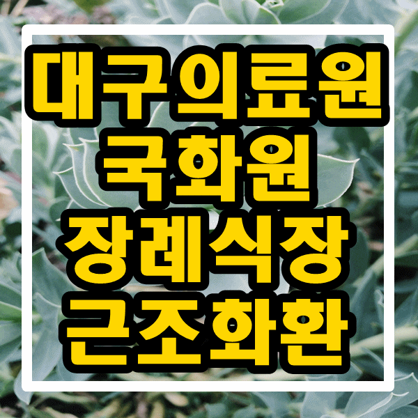  대구의료원 국화원 장례식장 꽃배달 서구 가까운 꽃집