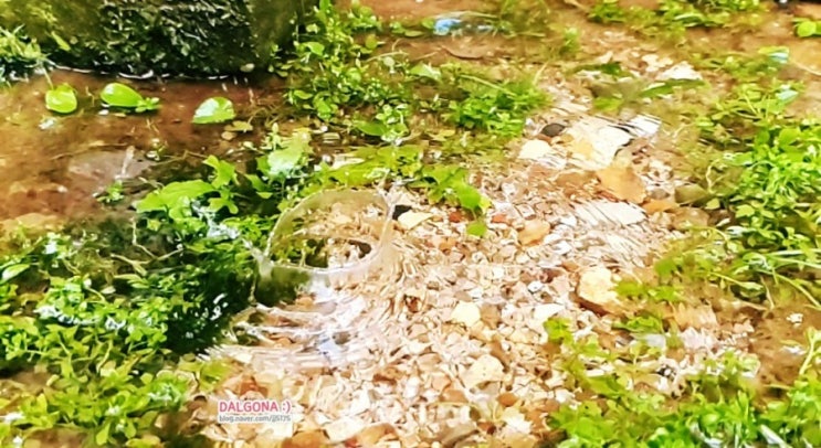  갤럭시 노트10 슈퍼슬로우모션으로 찍기