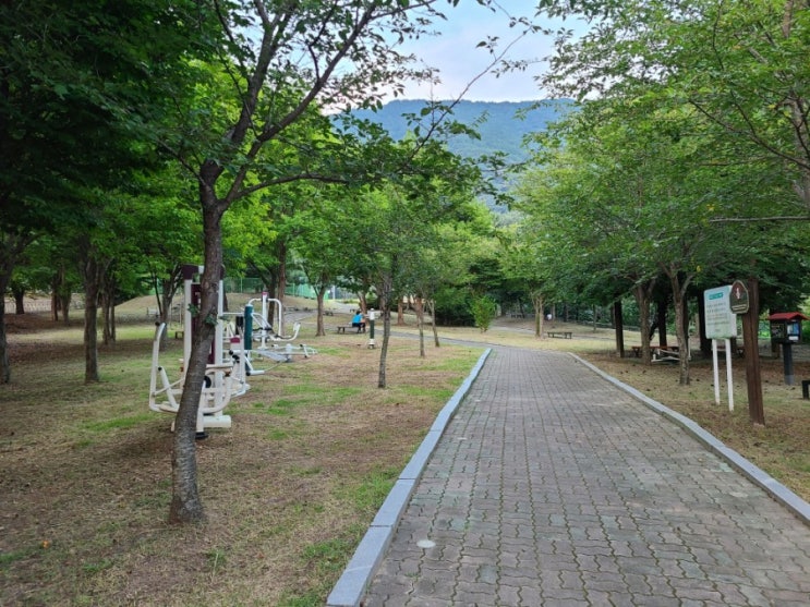  창원 대방체육공원 산책