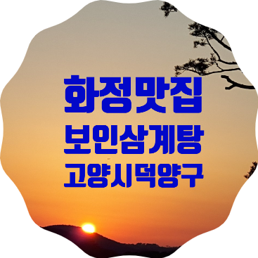  고양시 화정 맛집 <보인삼계탕> 식사 솔직후기