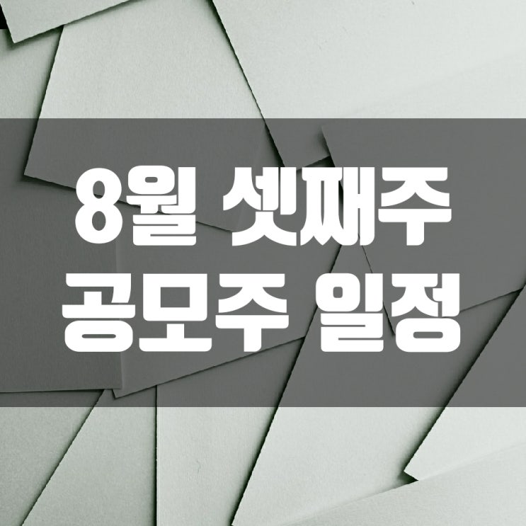  8월 셋째주 공모주 일정