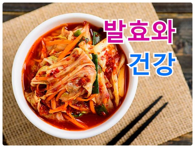  발효와 효소..  청국장, 식혜, 막걸리 등 전통 醱酵식품의 효능은?