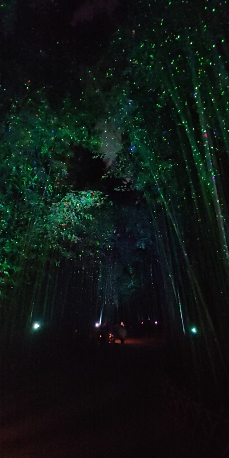 2020년08월16일 일요일 - 태화강 십리대숲 은하수길