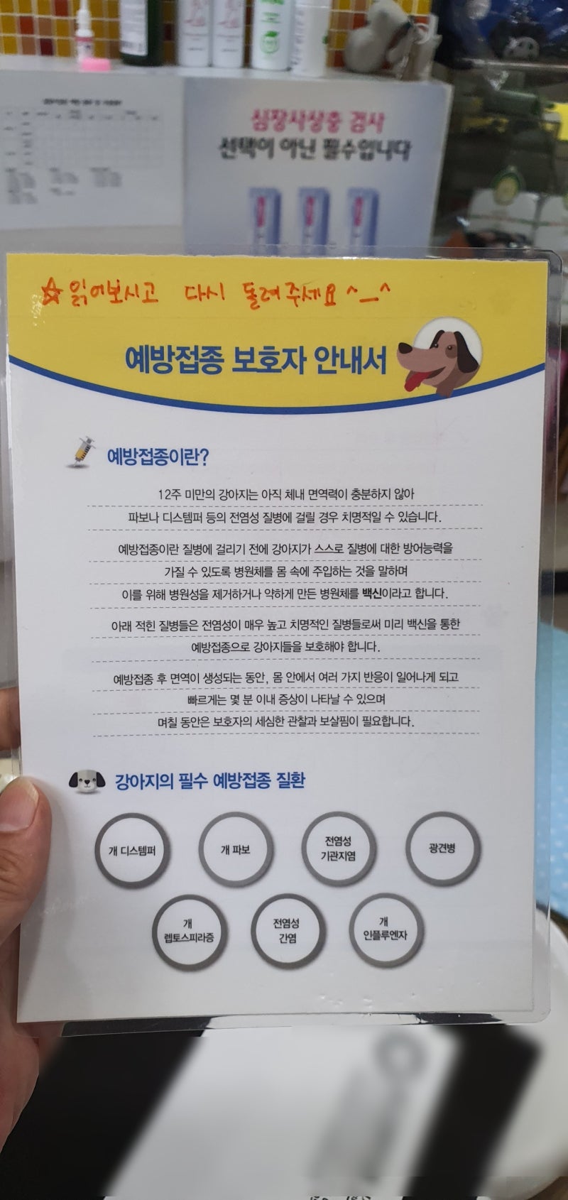 강아지 예방접종, 시기와 종류 등 보호자의 필수지식 정리. : 네이버 블로그