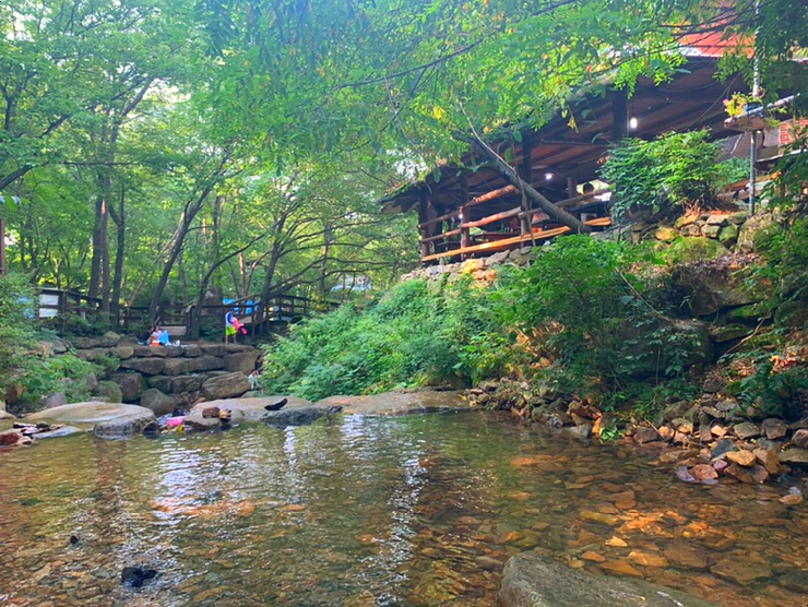 블로그씨로부터,힐링[김해장척계곡]