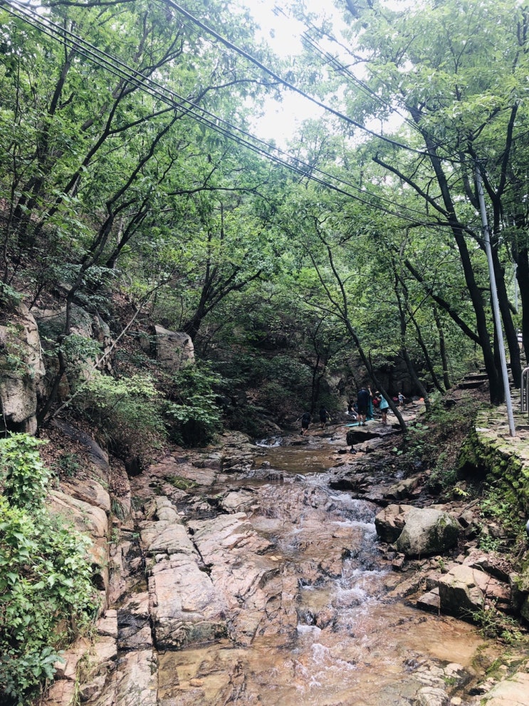  산행으로 힐링 충전