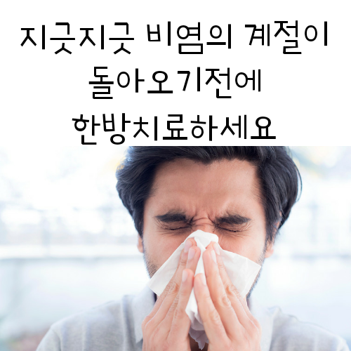 비염치료 한의원