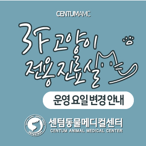  2020년 9월 이후 3층 고양이 전용 진료실 운영 요일 변경 안내 (부산 수영 센텀동물메디컬센터)