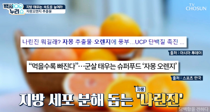 시네트롤 자몽 오렌지 복합추출물 효능
