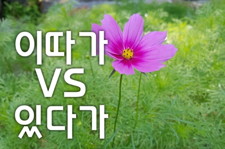  한글 맞춤법 공부(이따가 vs 있다가)