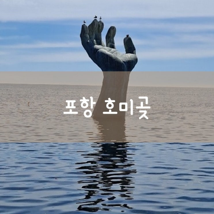  호미곶 포항 가볼 만한 곳~  동백꽃이 필 무렵 촬영지 근대역사 문화거리 구룡포 시장, 죽도 시장