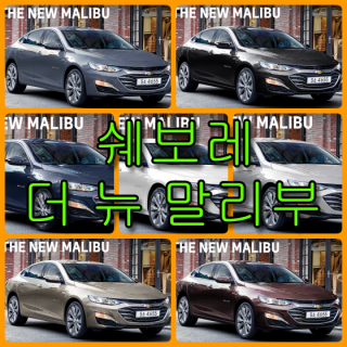  쉐보레 더 뉴 말리부 7가지 색상 확인법과 붓펜(컬러코드, 색상코드)-배우는 남자