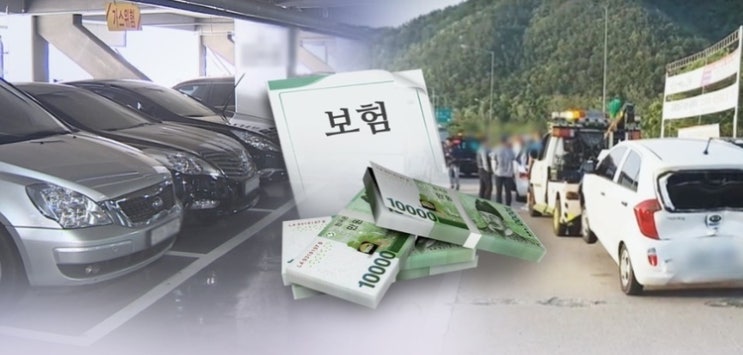 경미한 사고에도 장기입원...금융당국, 나일롱 환자 예방 '묘수' 찾는다 경미한 사고에도 장기입원...금융당국, 나일롱 환자 예방 '묘수' 찾는다