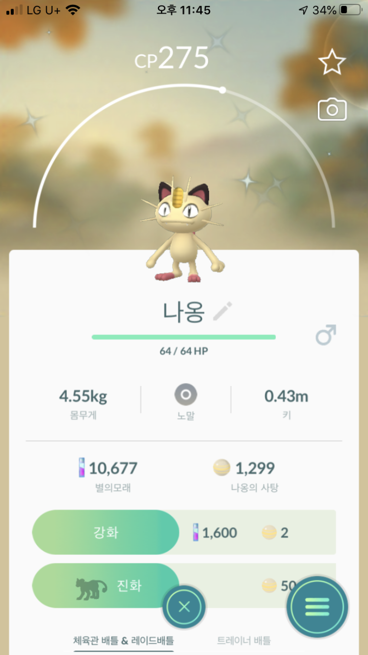  나옹, 페르시온 이로치