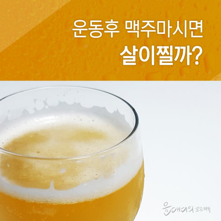  운동후 맥주 마시면 살이 찔까?