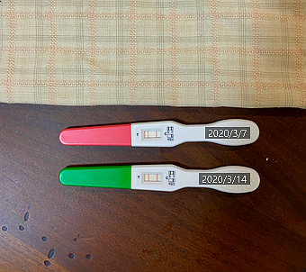  [우디 기록] 임신 확인기_ 임테기 확인 시기/산부인과 가는 시기