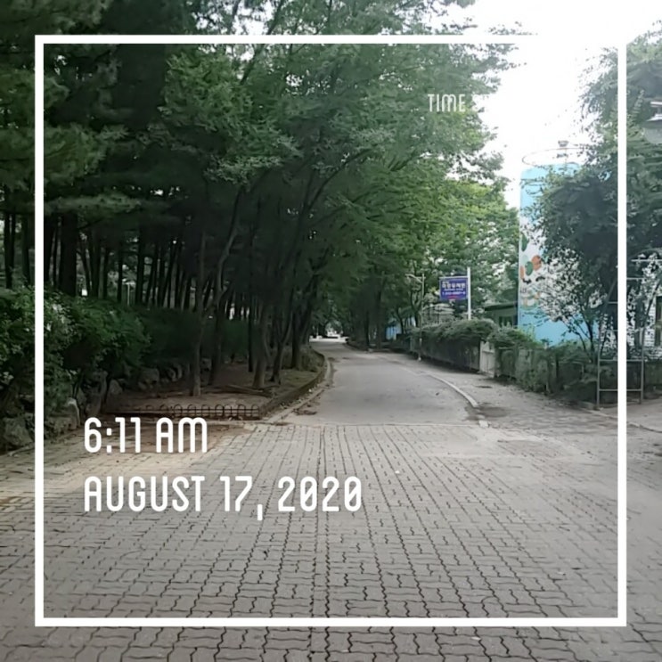  미라클 해빗 2일차