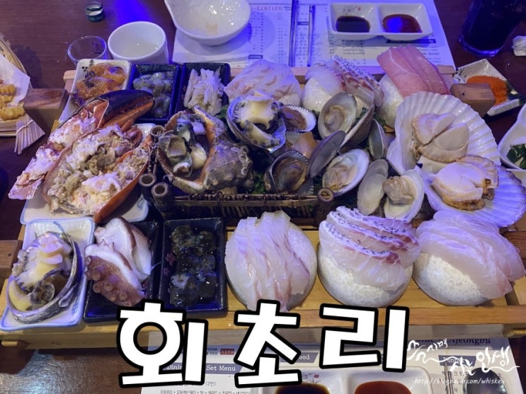  [의정부 횟집] 해산물 푸짐한 의정부 술집 회초리 의정부점