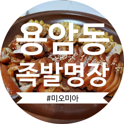  [청주 맛집] 족발보쌈 코스요리 들어보셨나요? 용암동 족발명장
