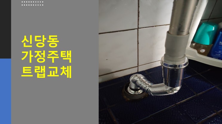  [천안수도설비] 신당동 가정주택 트랩 교체